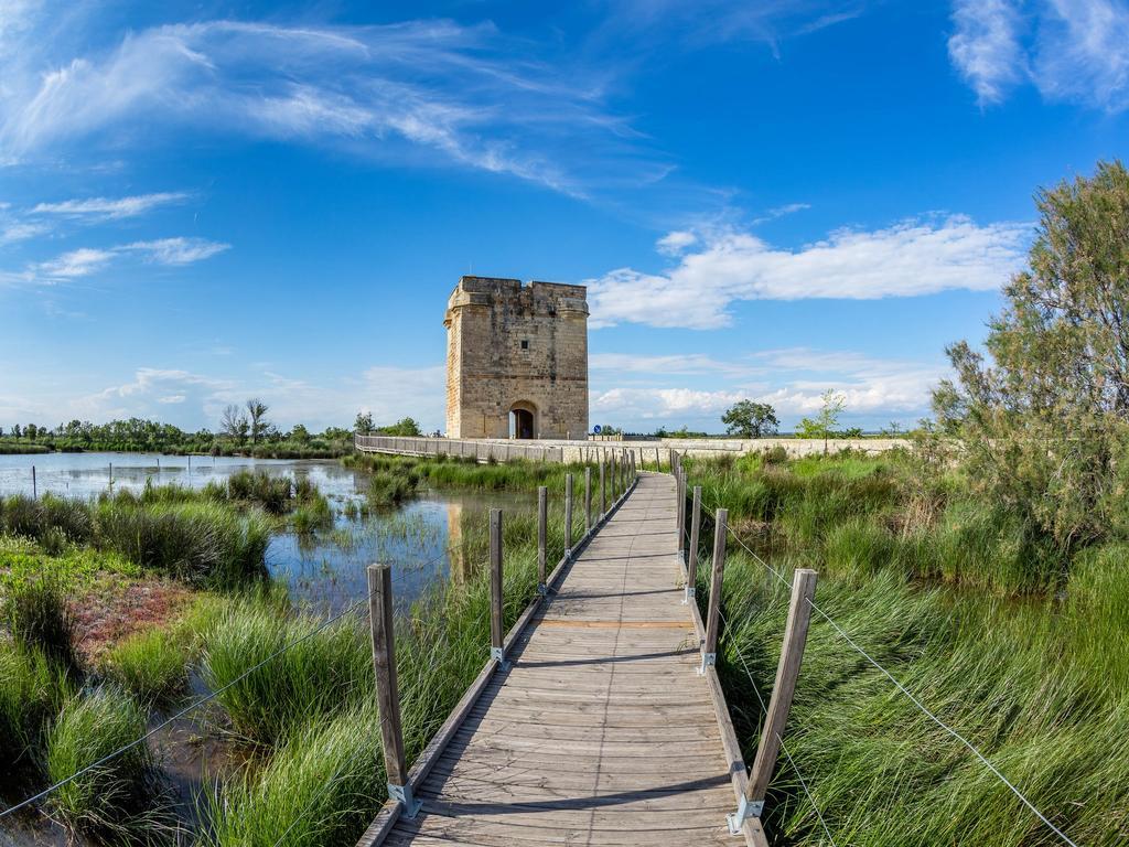 Artemia Aigues-Mortes - Hotel Avec Piscine Eksteriør billede